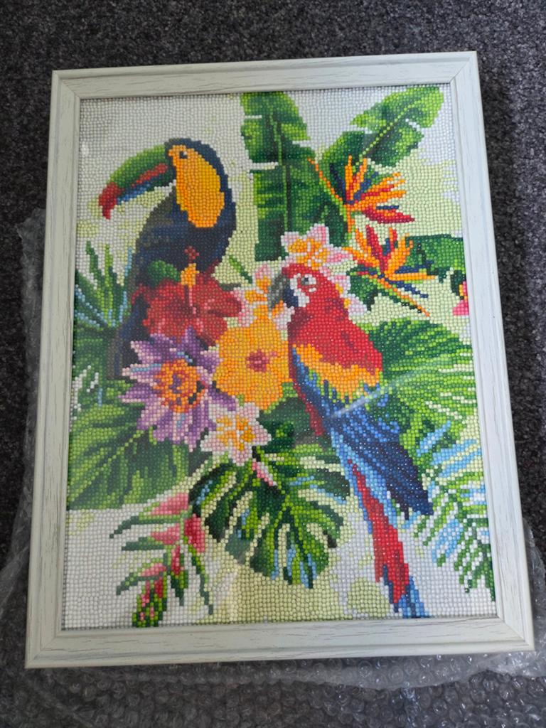 Handgemaakte Diamond Painting Tropische Vogels - Ingelijst, Hobby en Vrije tijd, Knutselen, Meerkleurig, Ophalen of Verzenden