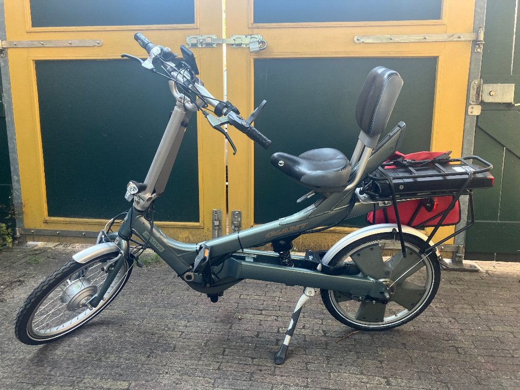 Giant Revive Elektrische fiets, Fietsen en Brommers, Ophalen, Gebruikt, Giant
