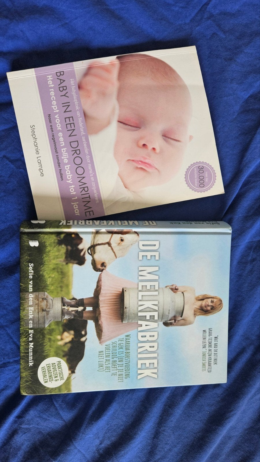 Boeken Baby in een droomritme & De melkfabriek, Ophalen of Verzenden, Gelezen, Zwangerschap en Bevalling, Stephanie Lampe, Sofie van den Enk, Eva Munnik