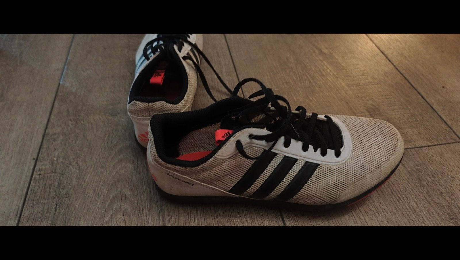spikes maat 38 merk adidas, Ophalen of Verzenden, Gebruikt, Spikes, Adidas