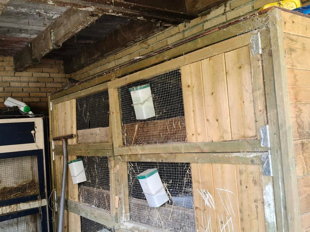Konijnen flat, Dieren en Toebehoren, Ophalen of Verzenden, 90 cm of meer, Hok, 110 cm of meer