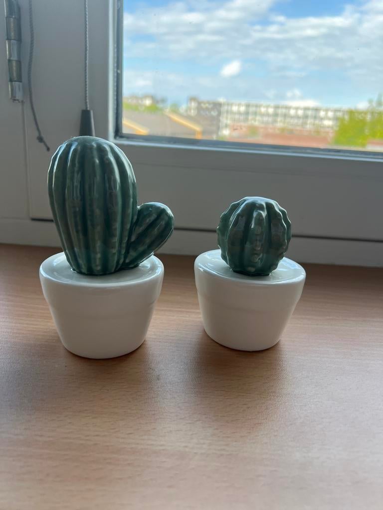 Set van 2 decoratieve cactussen (nep), Huis en Inrichting, Woonaccessoires | Kunstplanten en Kunstbloemen, Ophalen, Zo goed als nieuw