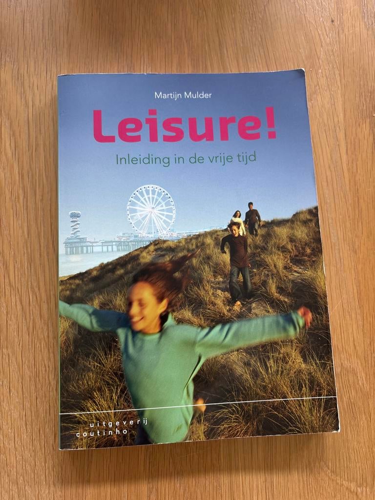 Martijn Mulder - Leisure!, Sociale wetenschap, Ophalen of Verzenden, Zo goed als nieuw, Martijn Mulder