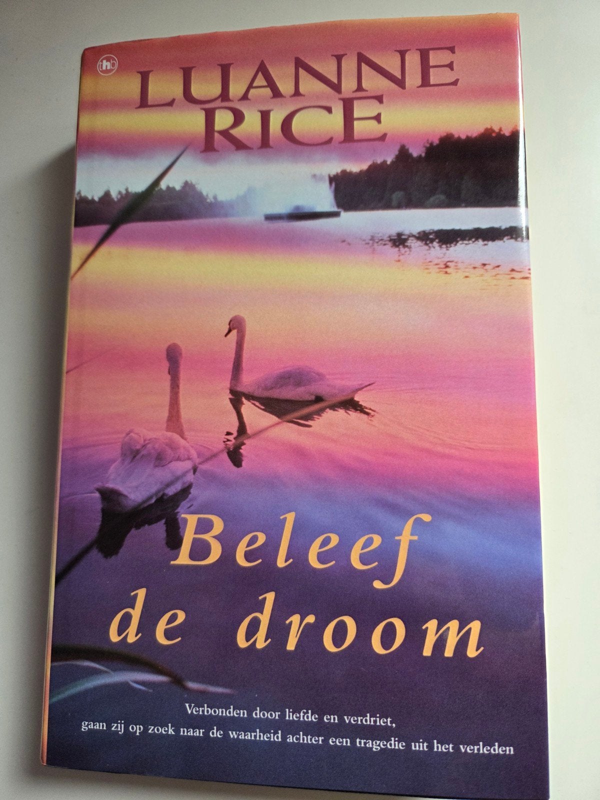 Luanne Rice - Beleef de droom (Roman), Ophalen of Verzenden, Zo goed als nieuw, Luanne Rice, Nederland