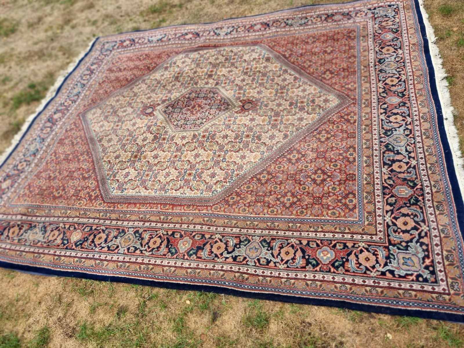 Zeer mooi wollen tapijt 2x3 m uit India laagpolig, Ophalen, Rechthoekig, 200 cm of meer, 200 cm of meer
