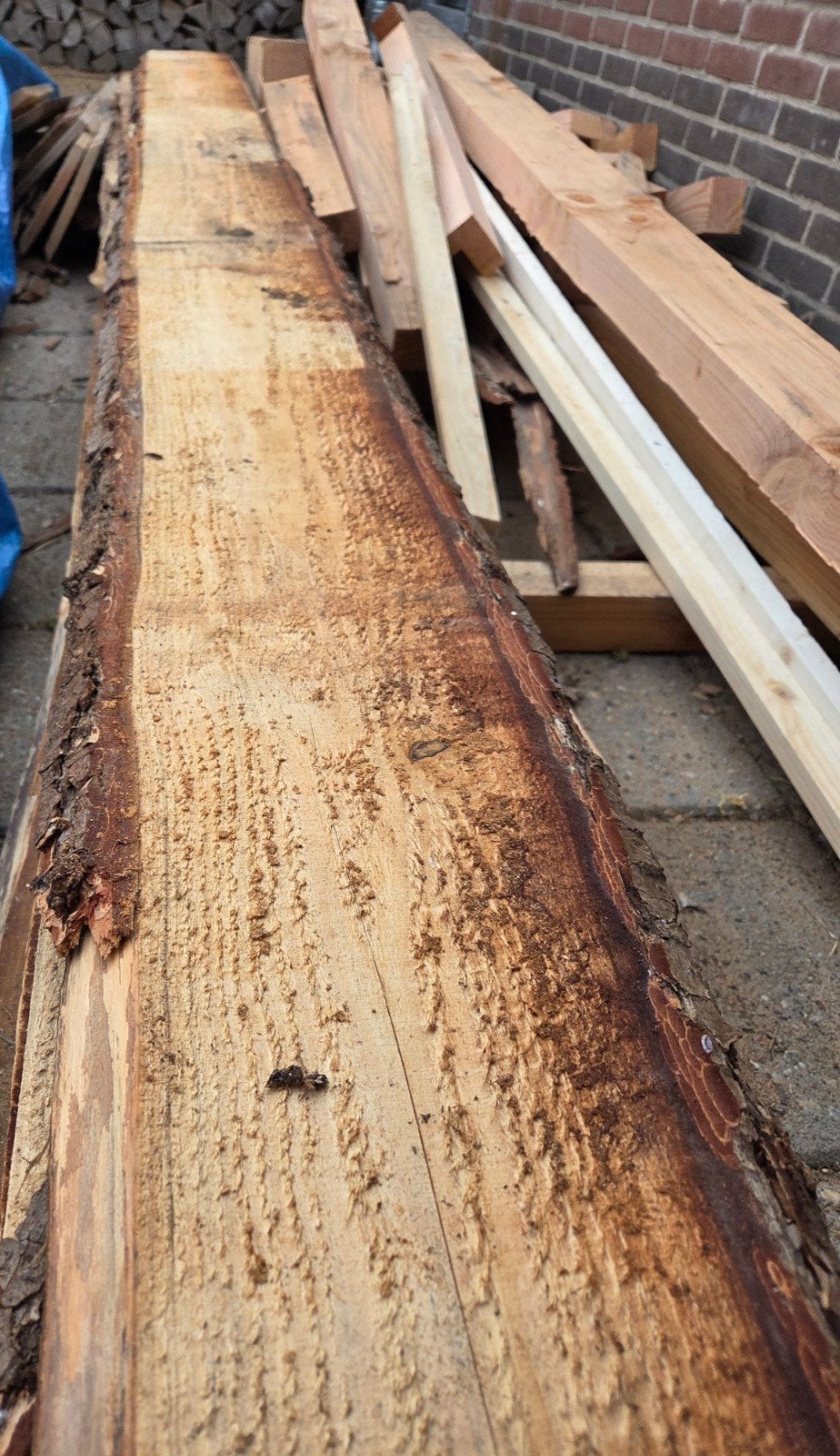 10 schaaldelen planken 3.20, Doe-het-zelf en Verbouw, Hout en Planken, Ophalen of Verzenden, Overige houtsoorten, Minder dan 25 mm