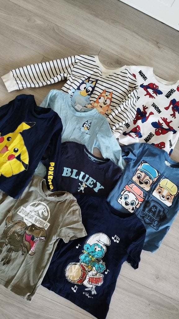 Set: truien en T-shirts – maat 110., Ophalen of Verzenden, Zo goed als nieuw, Maat 110