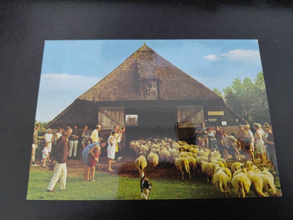 Schaapskooi in Drenthe, gelopen,, Verzenden, 1960 tot 1980, Gelopen, Overige soorten