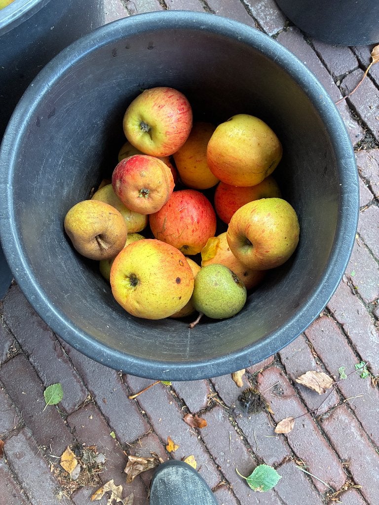 Appels rapen, Diversen, Ophalen