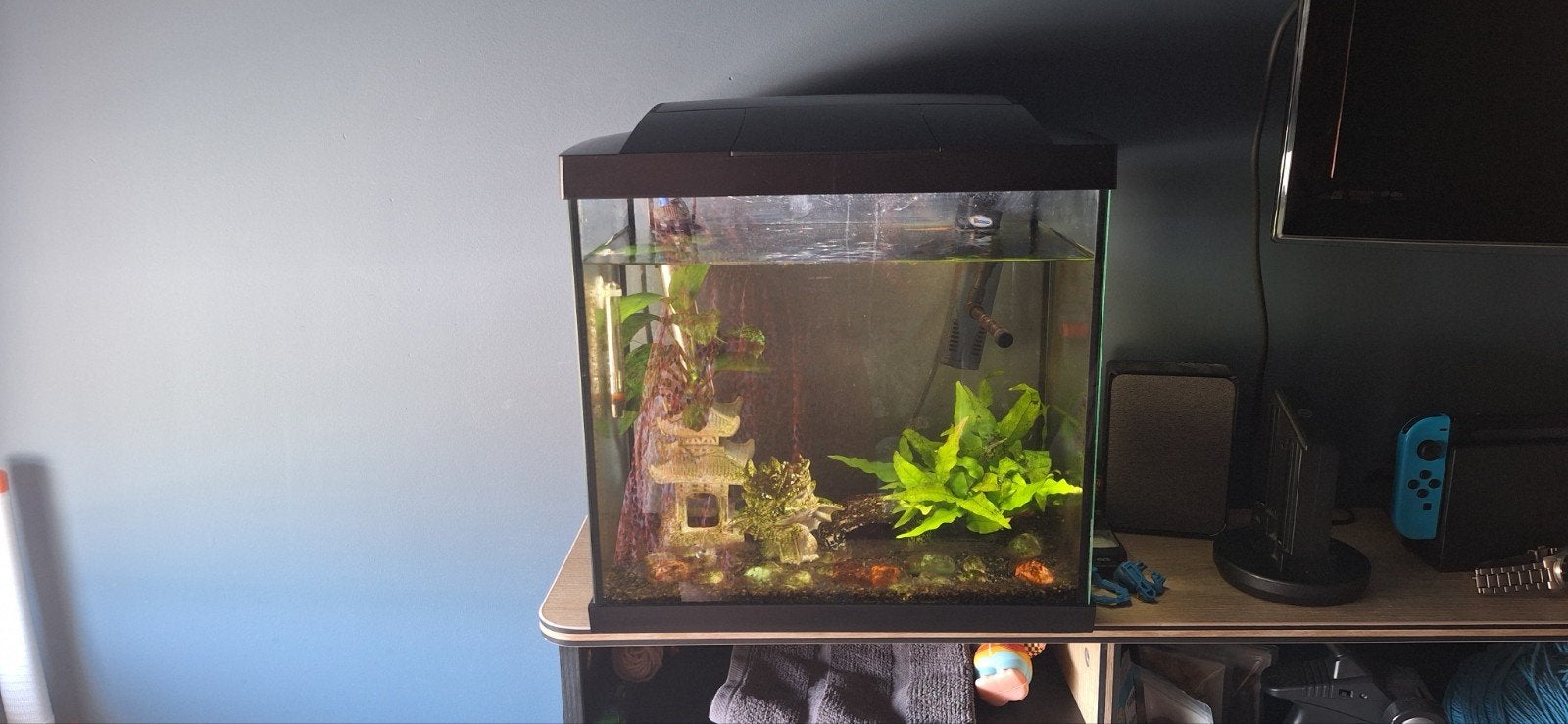 Aquarium, Ophalen, Leeg aquarium