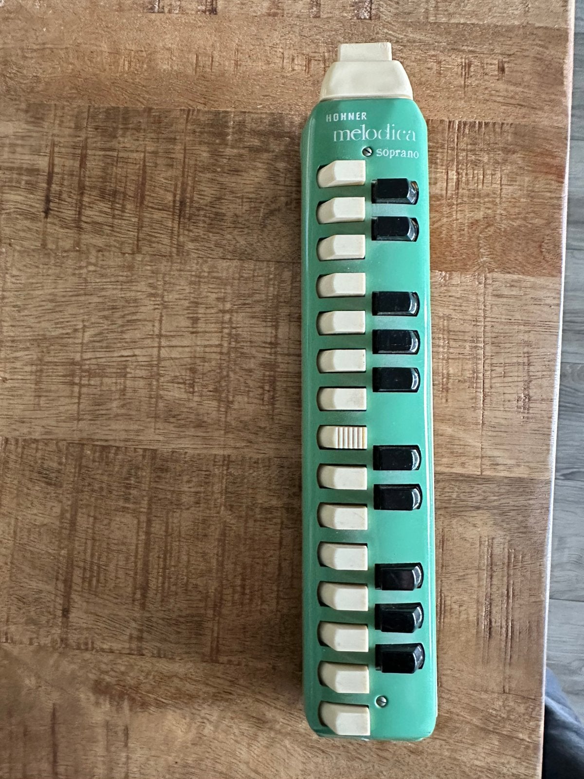 Hohner melodica soprano, Ophalen, Gebruikt, Overige typen, Met koffer of doosje