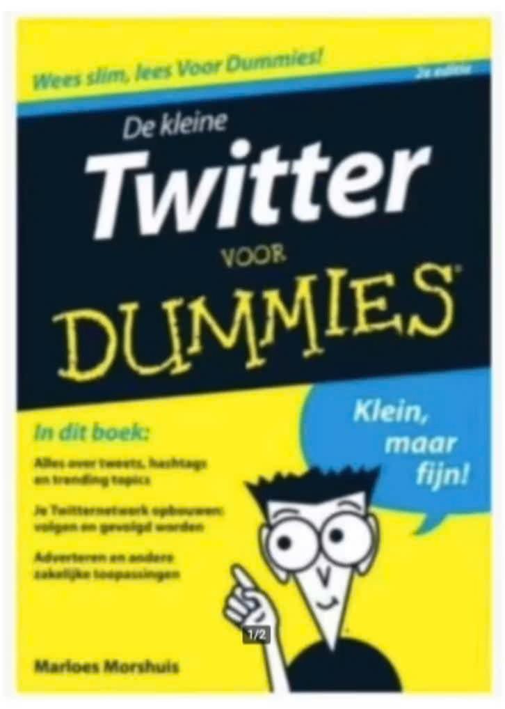 De kleine TWITTER voor dummies, Ophalen of Verzenden, Zo goed als nieuw, Internet of Webdesign