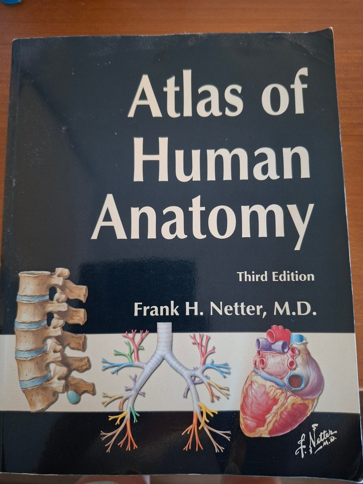 Atlas of Human Anatomy - Frank H. Netter (3e editie), Gelezen, Frank H. Netter, Beta, HBO