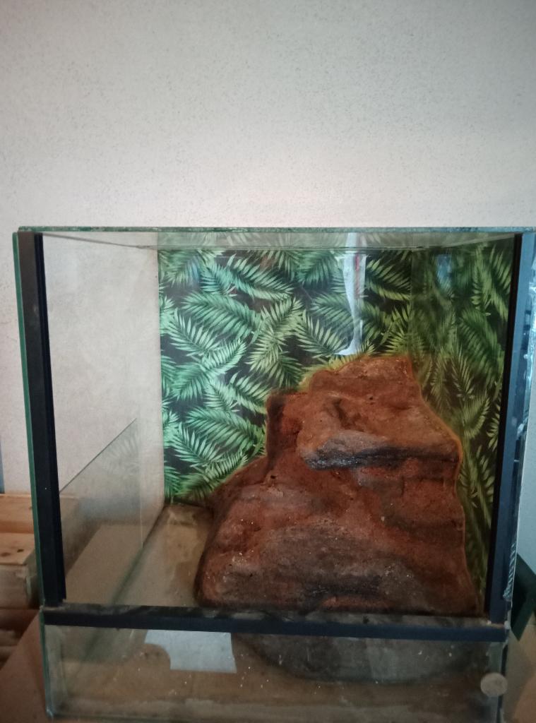 terrarium, Dieren en Toebehoren, Reptielen en Amfibieën | Toebehoren, Ophalen, Zo goed als nieuw, Terrarium of Paludarium
