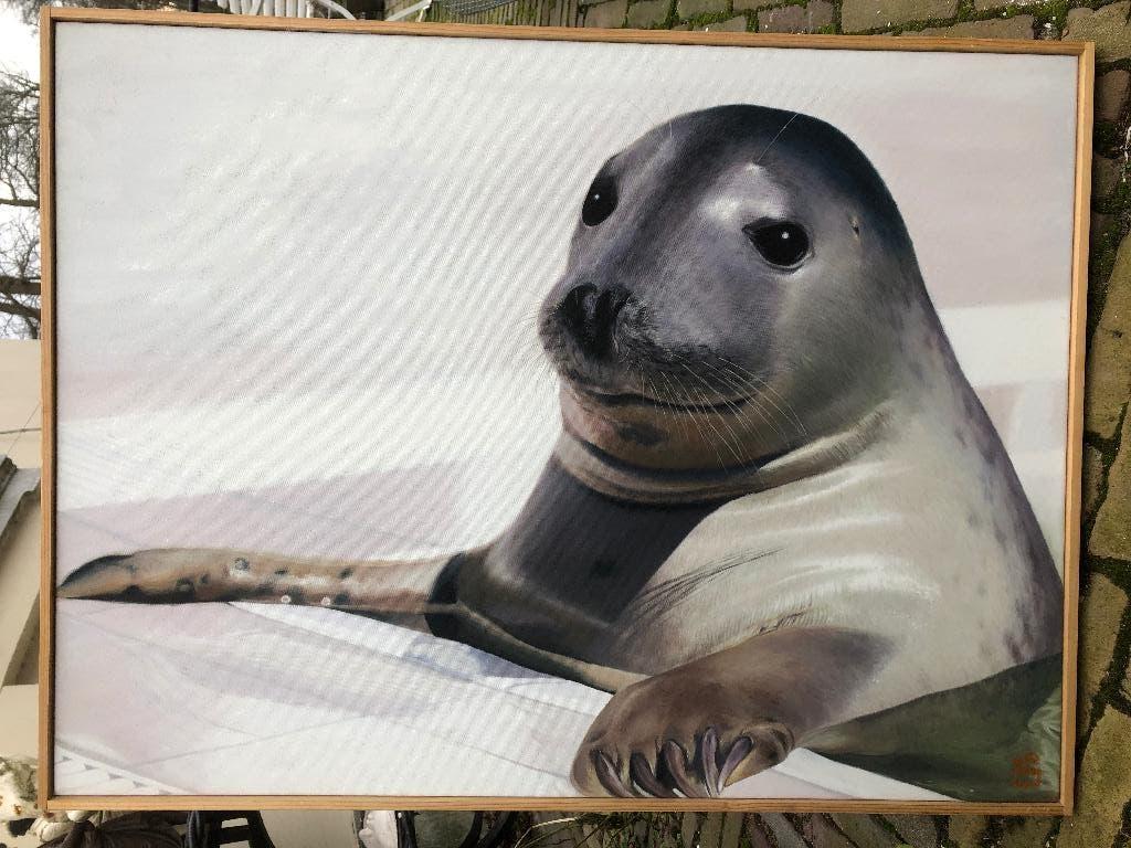 Zeehondje van De Kunstfabriek, Ophalen