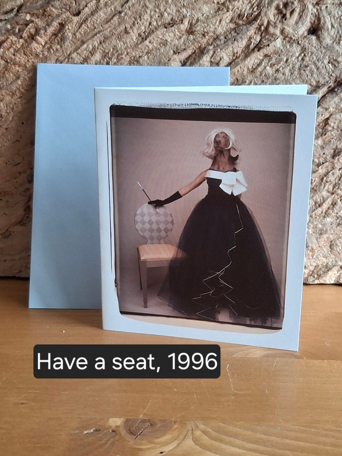 Kunstkaarten William Wegman (B), Verzenden, 1980 tot heden, Ongelopen, Overige thema's