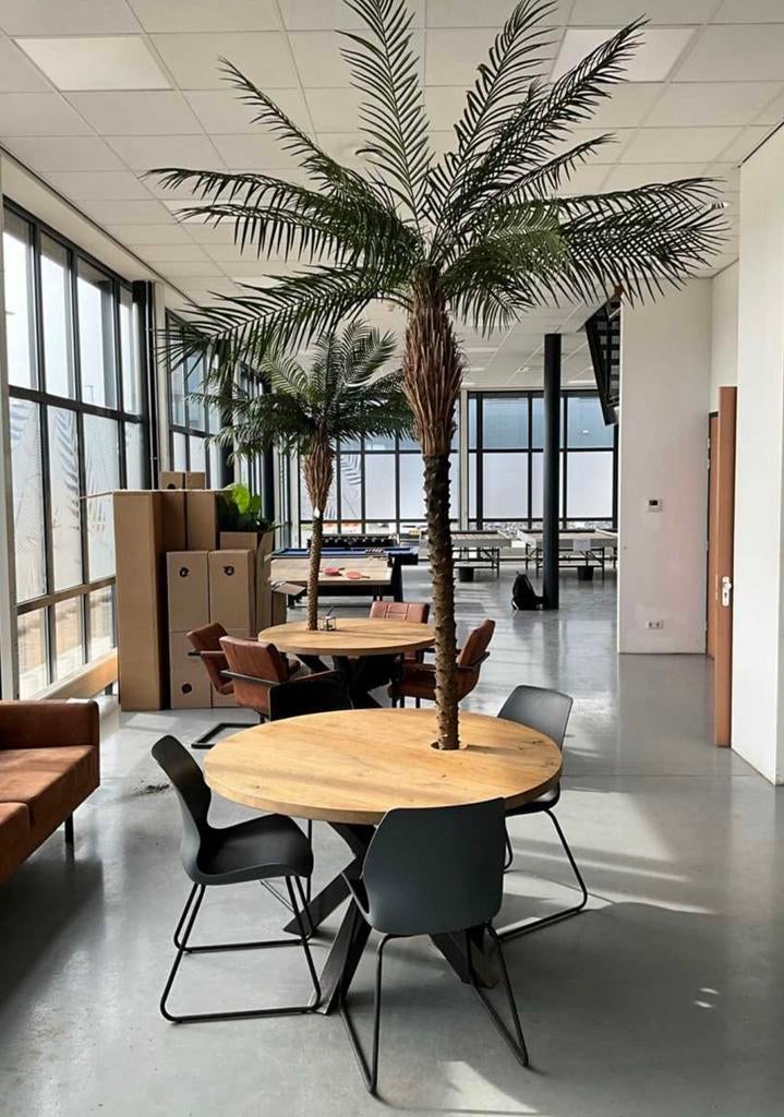 Ronde tafel met palmboom, Ophalen, Zo goed als nieuw, 75 m² of meer, Laminaat