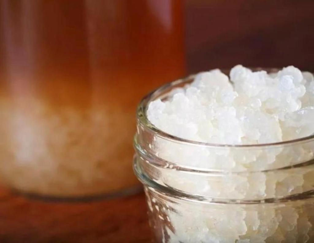 Waterkefirkorrels 40gr waterkefir BIO - verzending mogelijk!, Diversen, Levensmiddelen, Ophalen of Verzenden