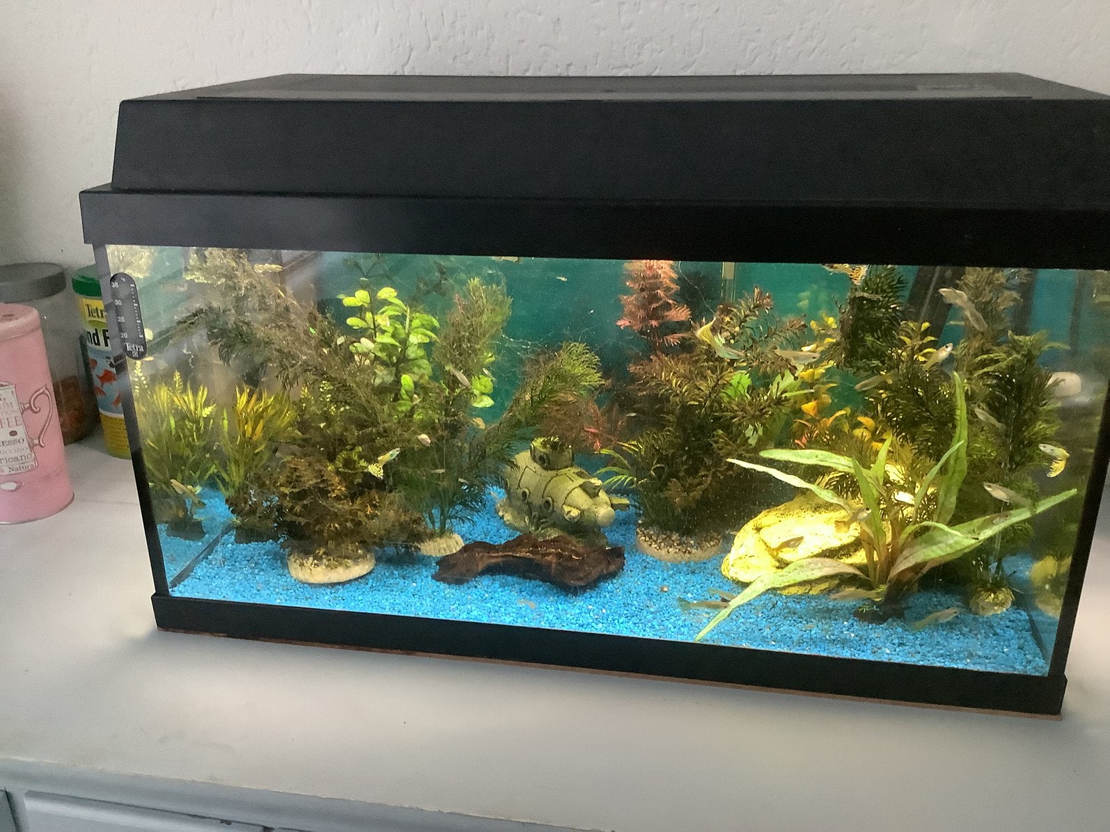 super compleet aquarium incl alle toebehoren en voer, Ophalen, Pomp, Gebruikt, Gevuld zoetwateraquarium