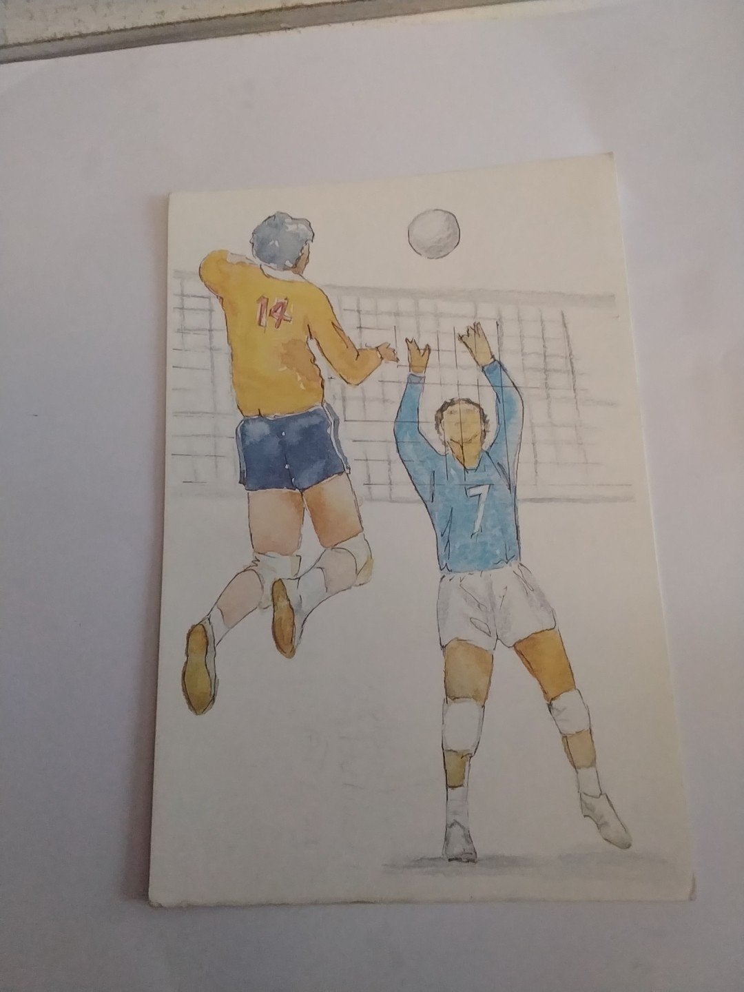 VOLLEYBAL-SPELERS. 1998, Ophalen of Verzenden, 1980 tot heden