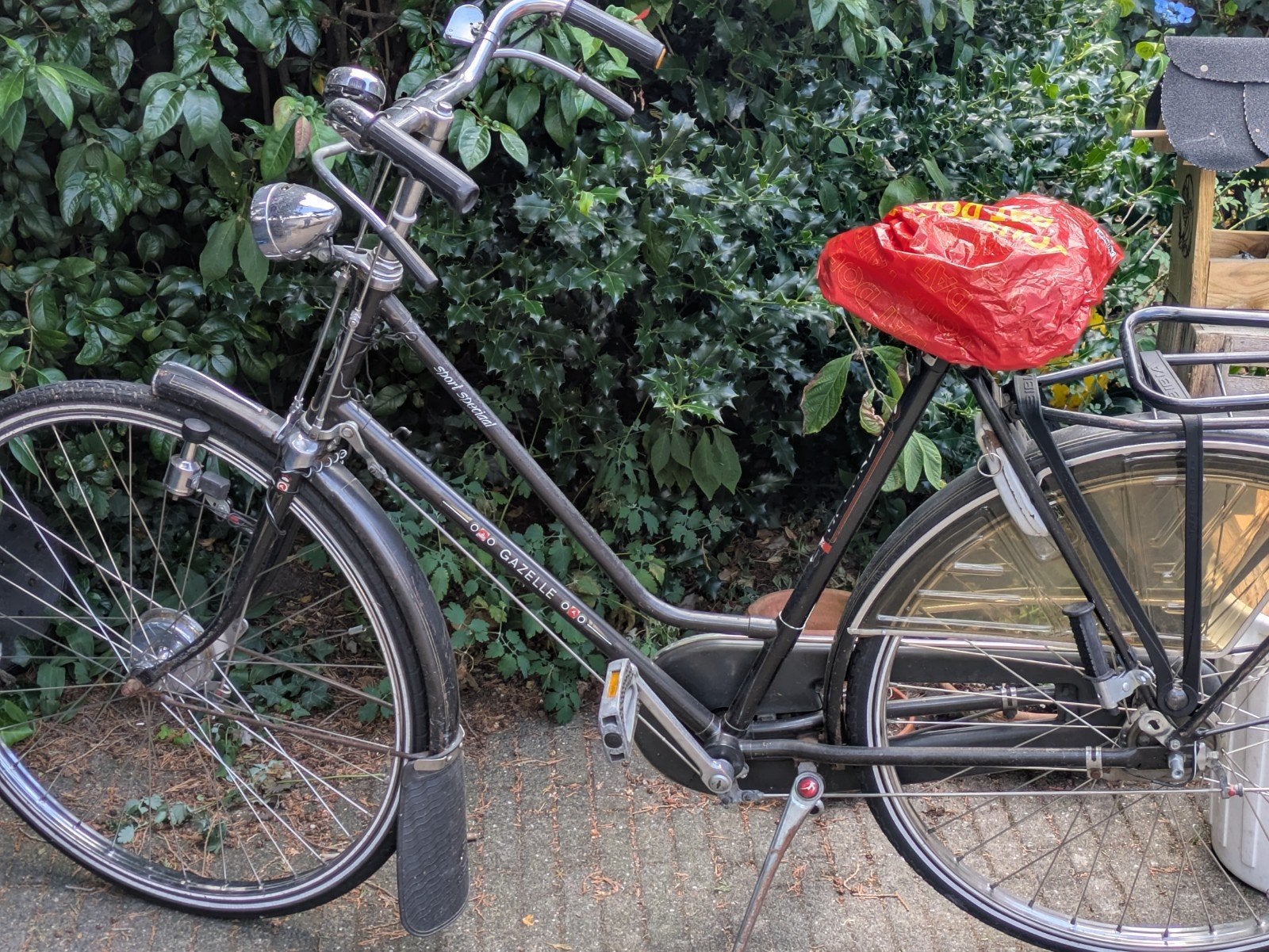 Gazelle Sport Speciaal Damesfiets Degelijk, Ophalen