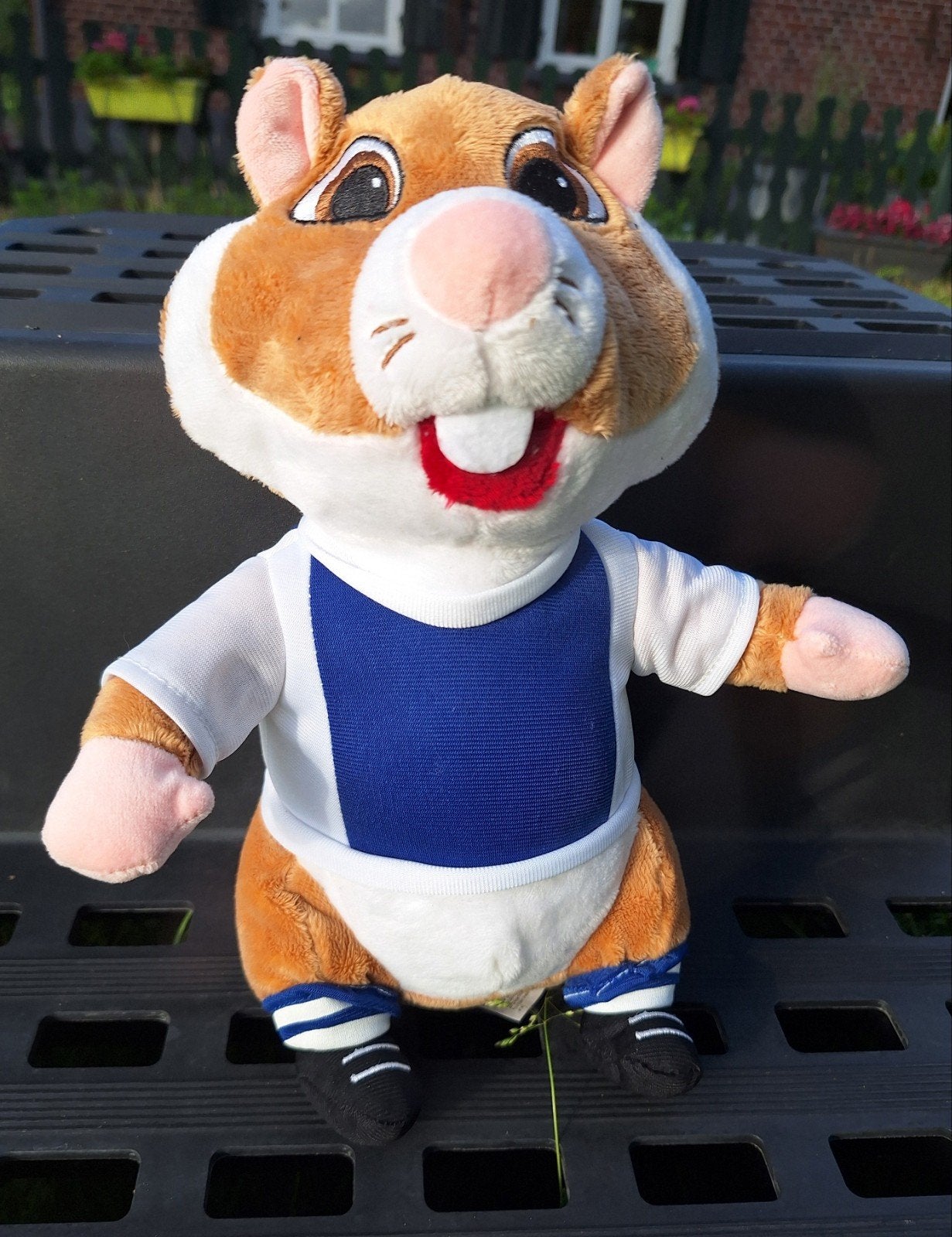 AH Voetbal Hamster Blauw, Albert Heijn, Ophalen of Verzenden