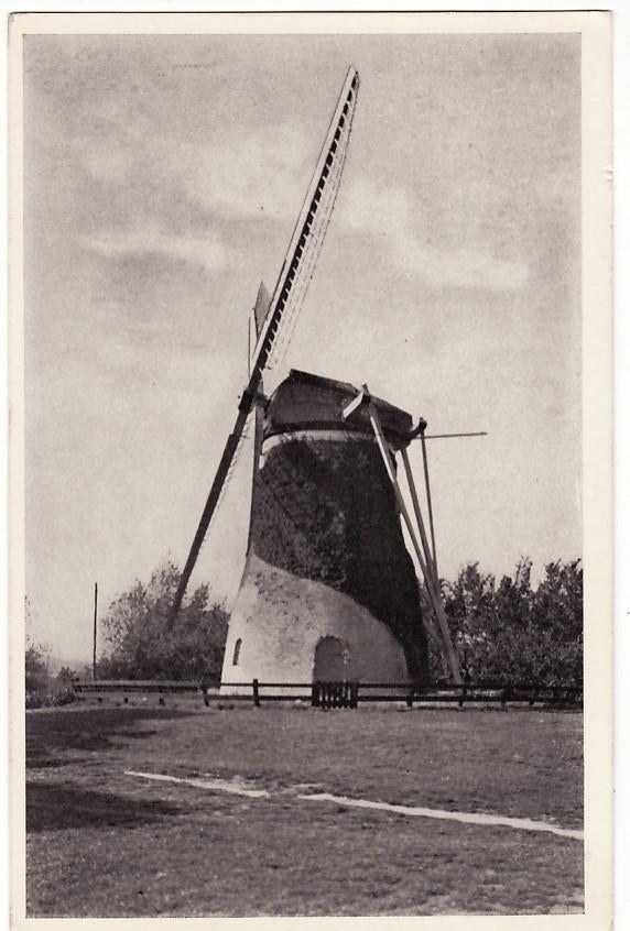 Schoorl (NH) molen de omloop Kijkduin 1953., Verzenden, 1940 tot 1960, Gelopen, Noord-Holland