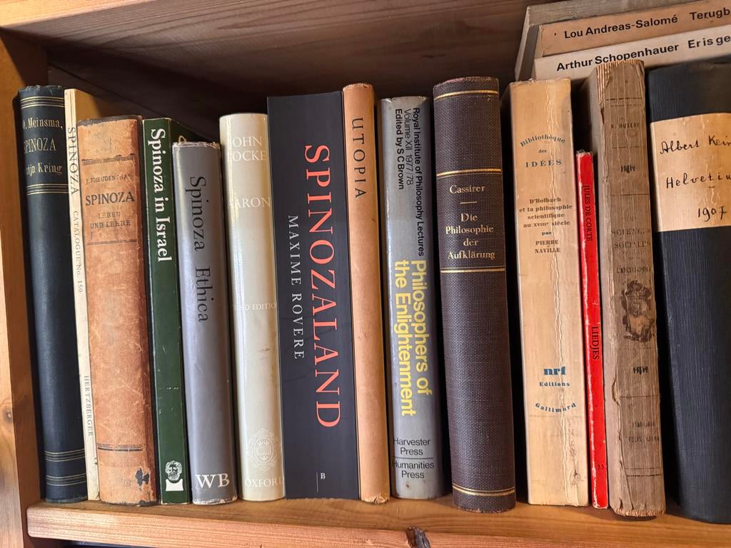 Collectie Spinoza Filosofieboeken - Div. Auteurs en Uitgaven, Ophalen, Gelezen, Europa overig