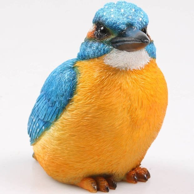 IJSVOGELTJE - THE BEAUTY....(L), Verzenden, Nieuw