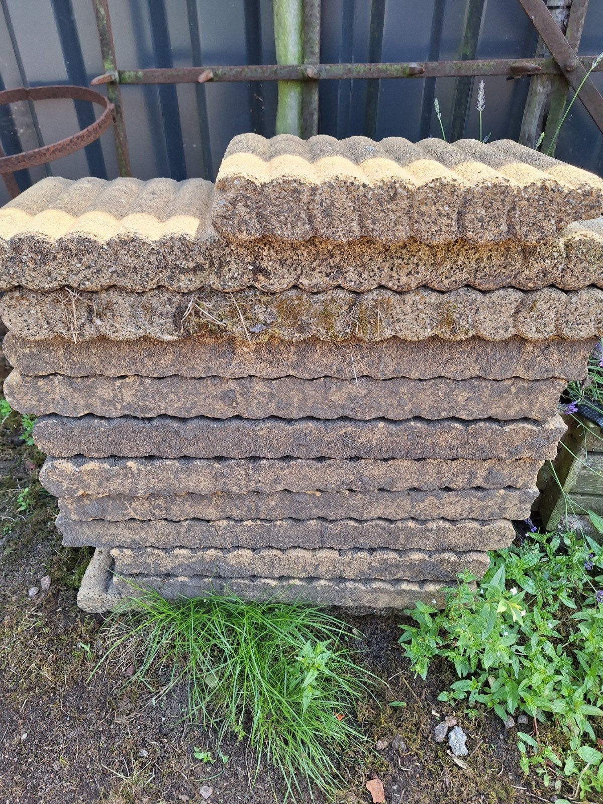 Gratis gebruikte terrastegels - ideaal voor tuinpad of terra, Tuin en Terras, Tegels en Klinkers, Ophalen, Gebruikt, Minder dan 5 m²