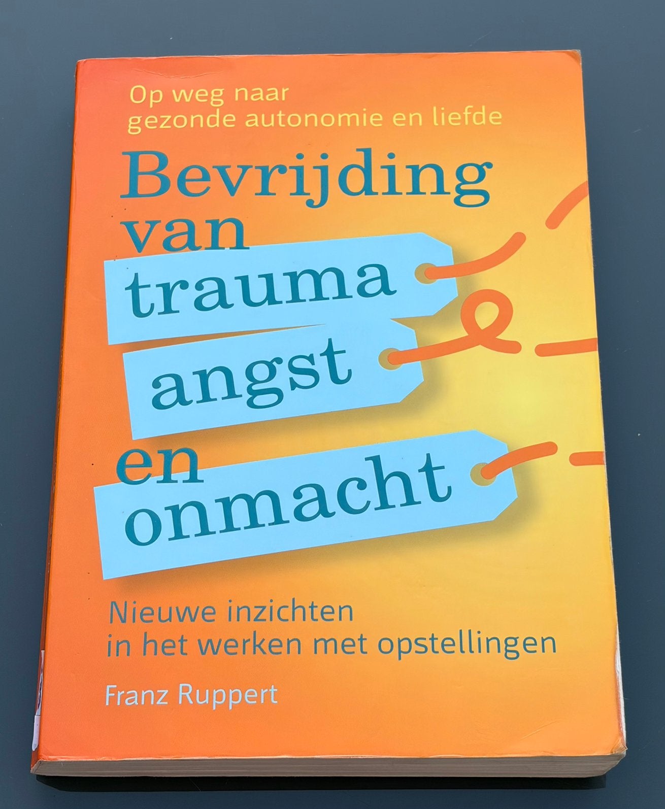 Franz Ruppert - Bevrijding van trauma, angst en onmacht, Boeken, Psychologie, Gelezen, Ophalen of Verzenden, Ontwikkelingspsychologie