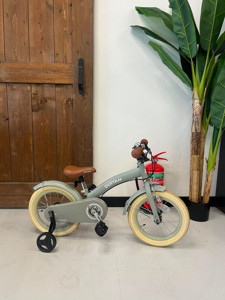 Deryan 3-in-1 Kinderfiets Groen – 12 Inch, Ophalen of Verzenden, Zo goed als nieuw, Trapvoertuig