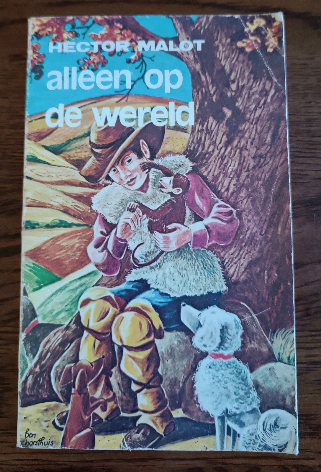 Alleen op de wereld - Hector Malot (1977), Gelezen, Ophalen of Verzenden, Hector Malot, Nederland