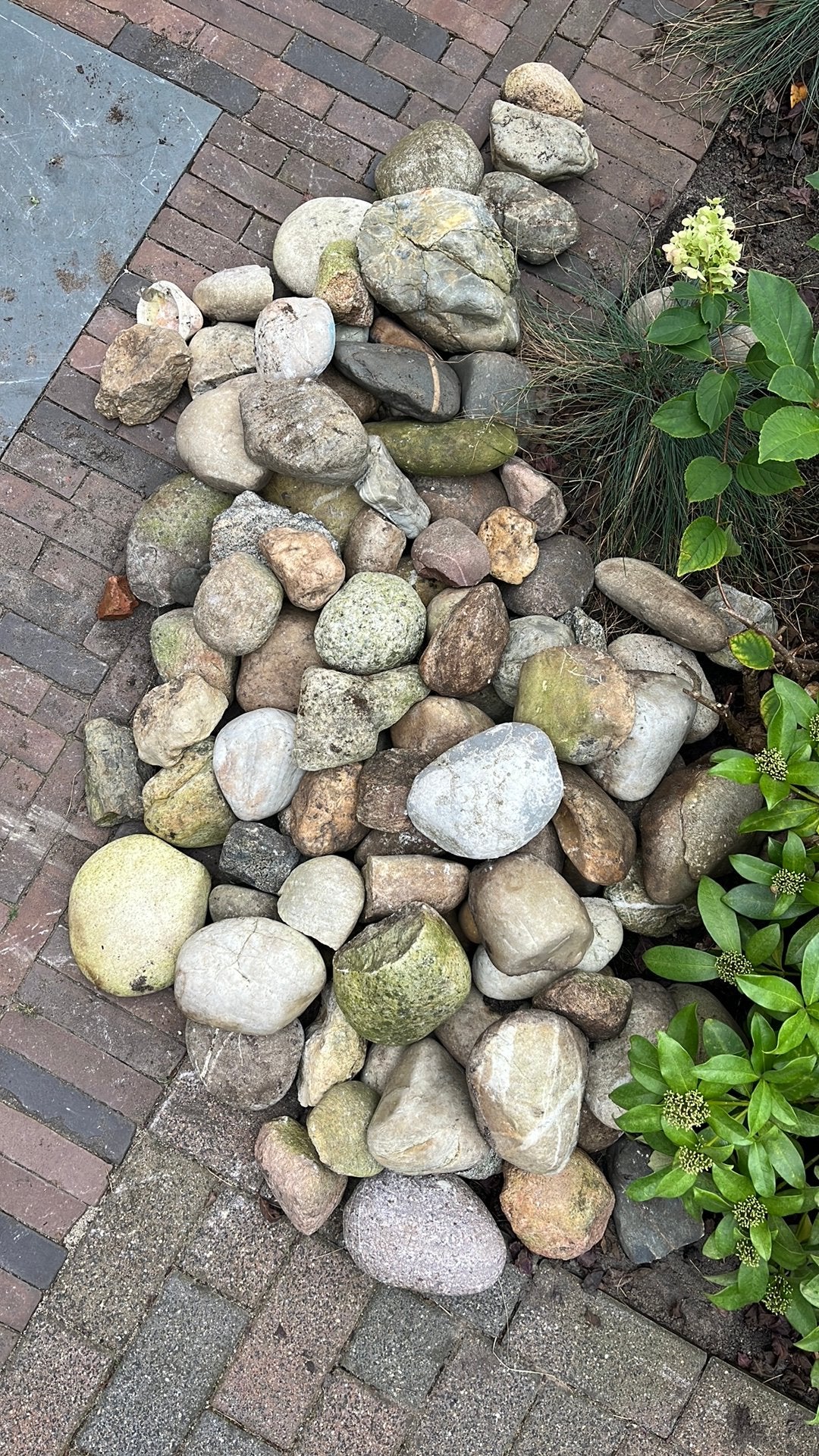 Decoratieve Keien voor Tuin of Vijver, Ophalen, Gebruikt, Multi, Kei