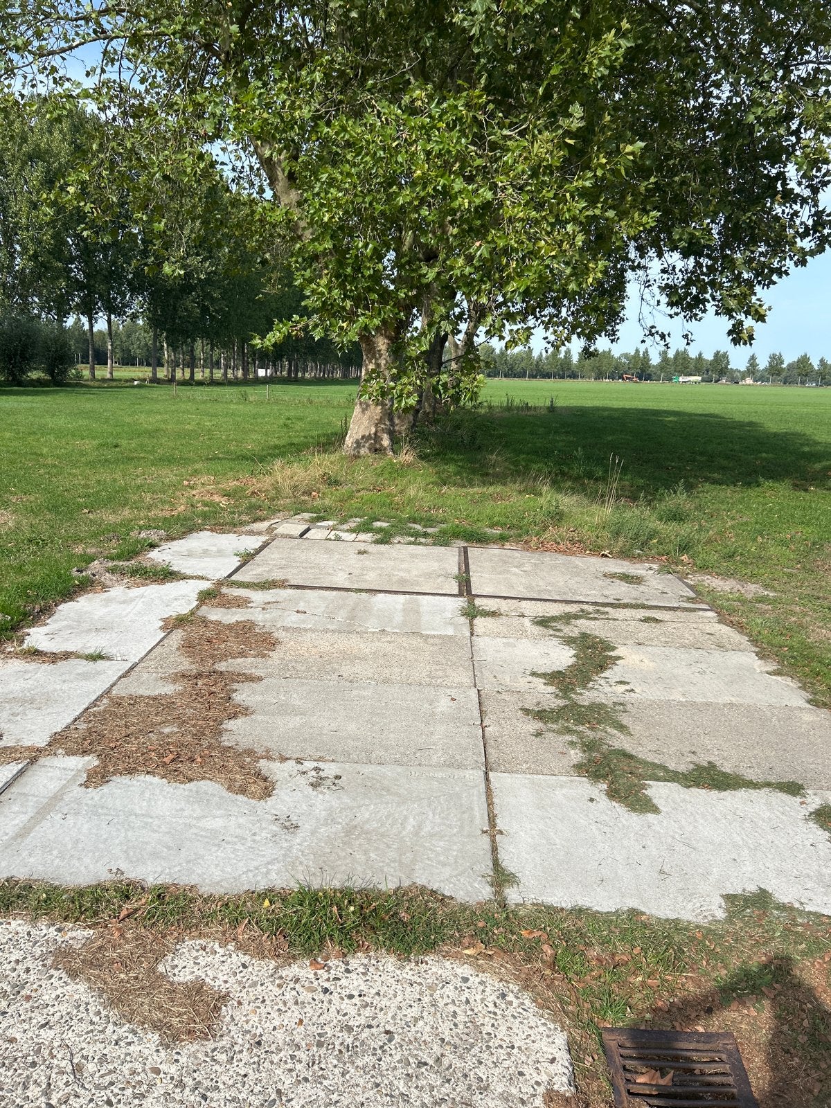 Stelconplaten met ijzeren rand - diverse afmetingen, Tuin en Terras, Ophalen, Gebruikt, Overige typen, 10 m² of meer