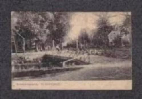 Nieuw-Weerdinge Roswinkelscheweg Brug Boerderij., Verzamelen, Ophalen of Verzenden, Voor 1920, Gelopen, Drenthe