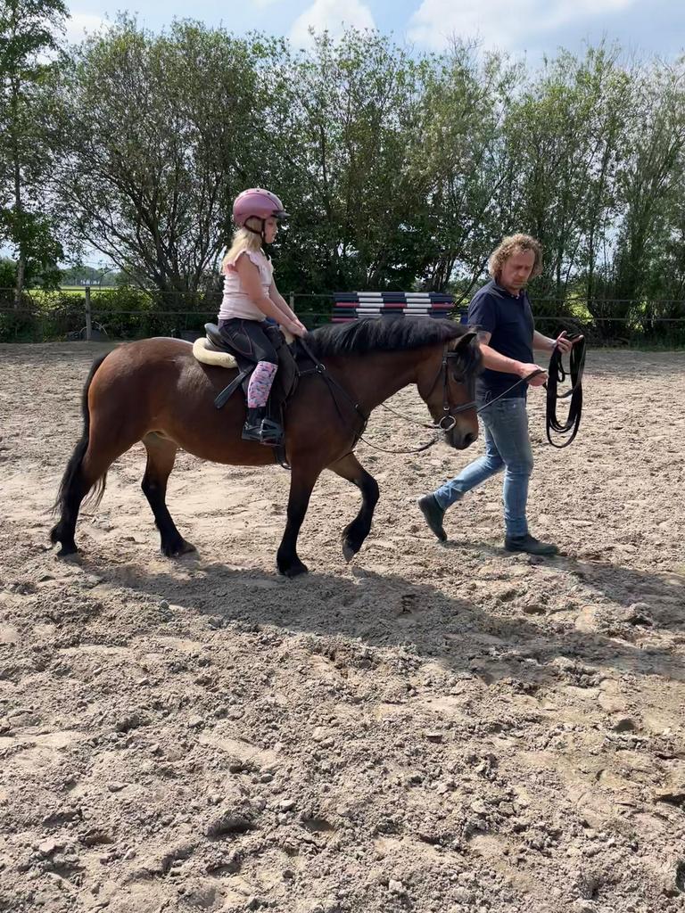 Knappe 4 jarige c pony merrie, Dieren en Toebehoren, Pony's, 3 tot 6 jaar, C pony (1.27m tot 1.37m), Onbeleerd, Recreatiepony