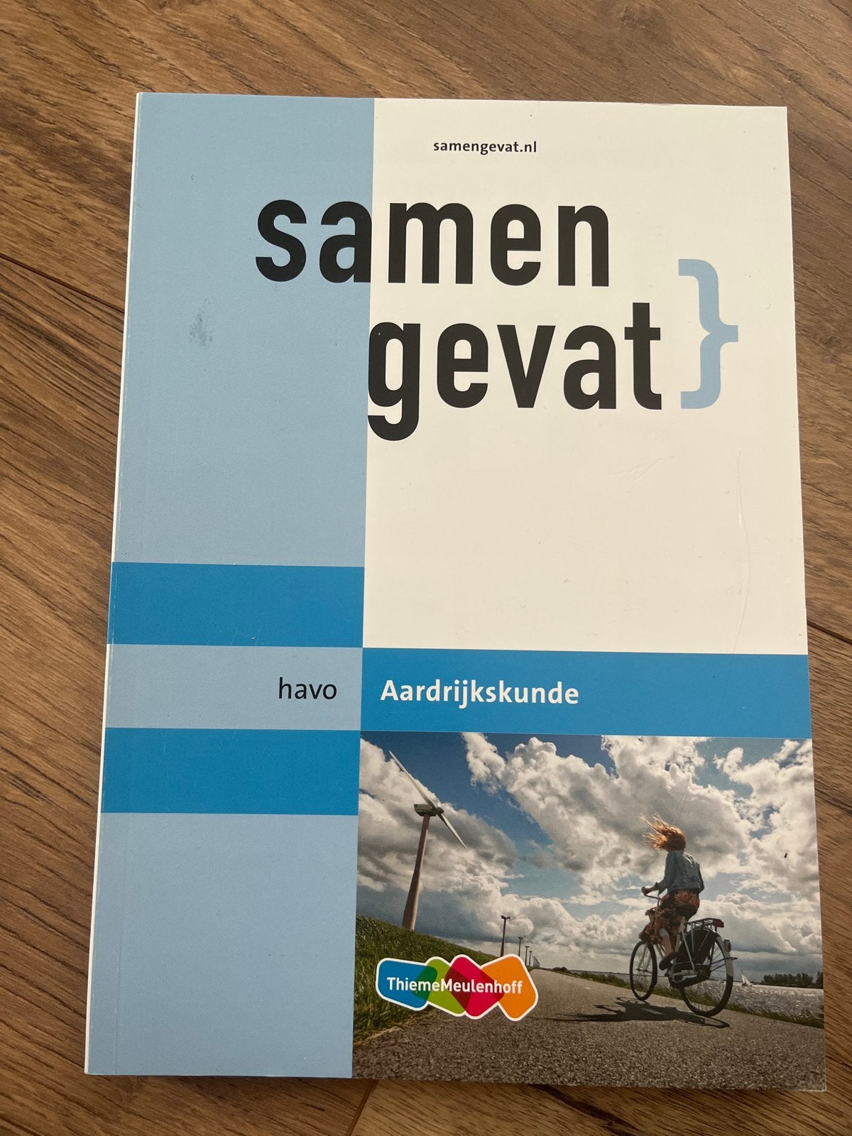 Samengevat Aardrijkskunde HAVO - ThiemeMeulenhoff, Boeken, Schoolboeken, Ophalen of Verzenden, Zo goed als nieuw, HAVO, Aardrijkskunde
