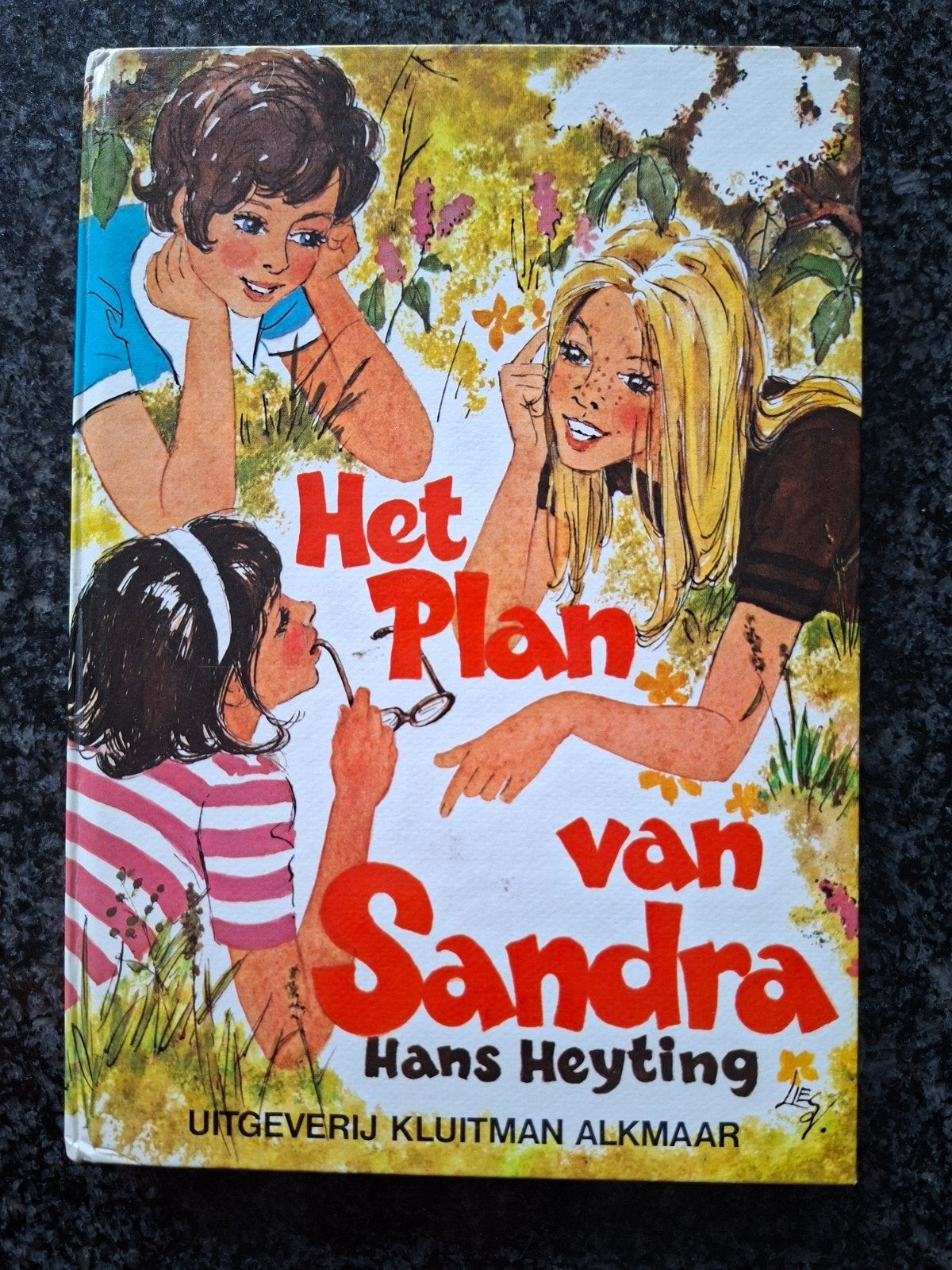 Het Plan van Sandra - Zonnebloem-Serie (Hans Heyting), Ophalen of Verzenden, Gelezen, Hans Heyting, Fictie