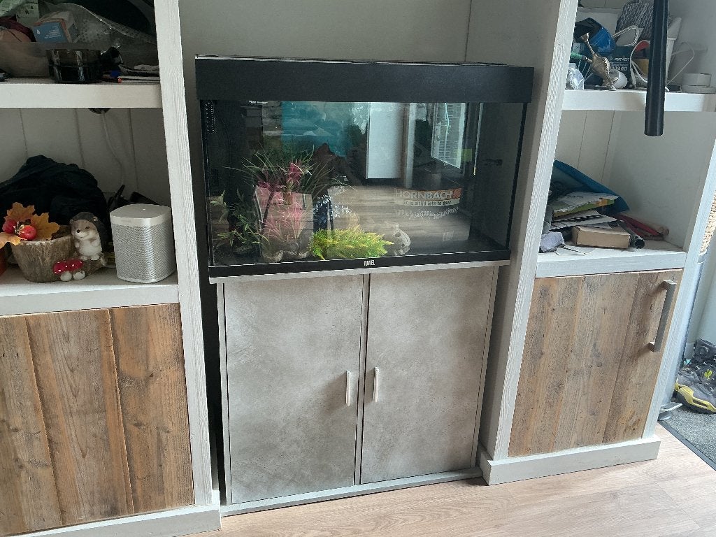 Aquarium Juwel Rio 125 incl kast, Ophalen, Gebruikt, Leeg aquarium, Inclusief controller
