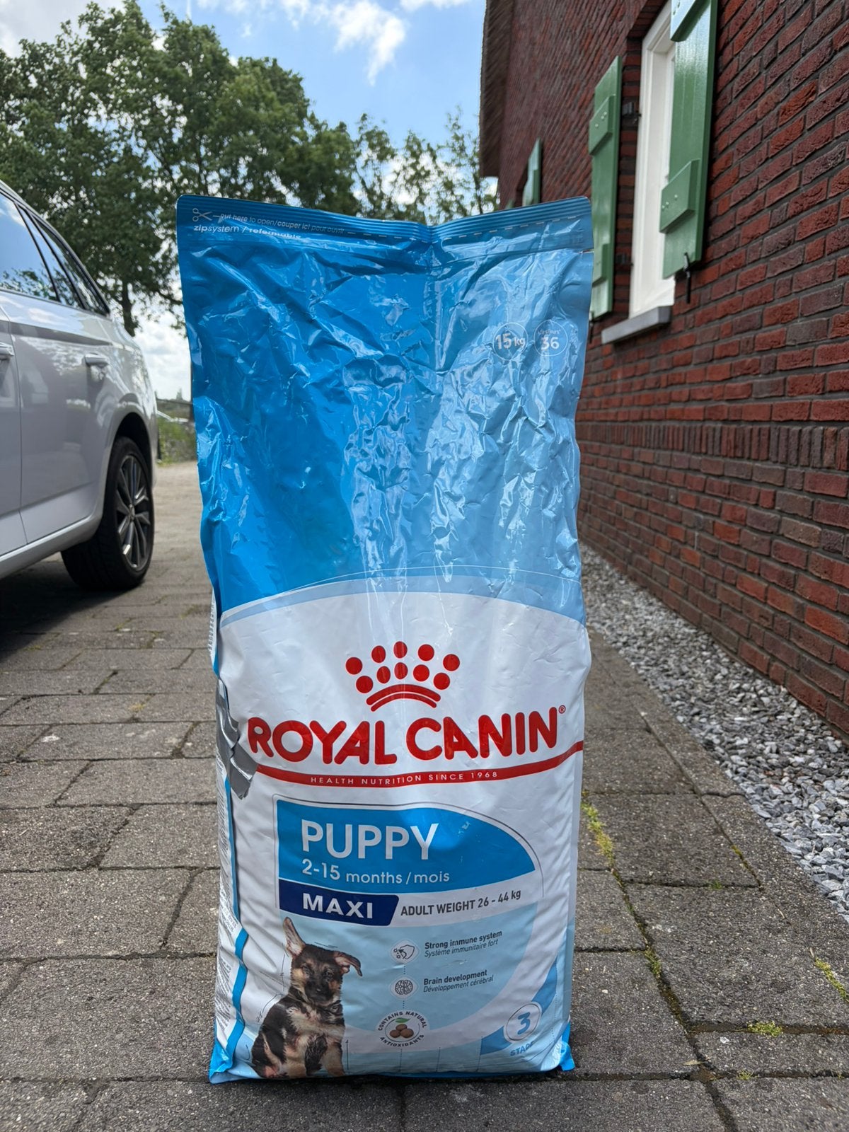 Royal Canin Maxi Puppy - Hondenvoer, Dieren en Toebehoren, Ophalen of Verzenden, Hond