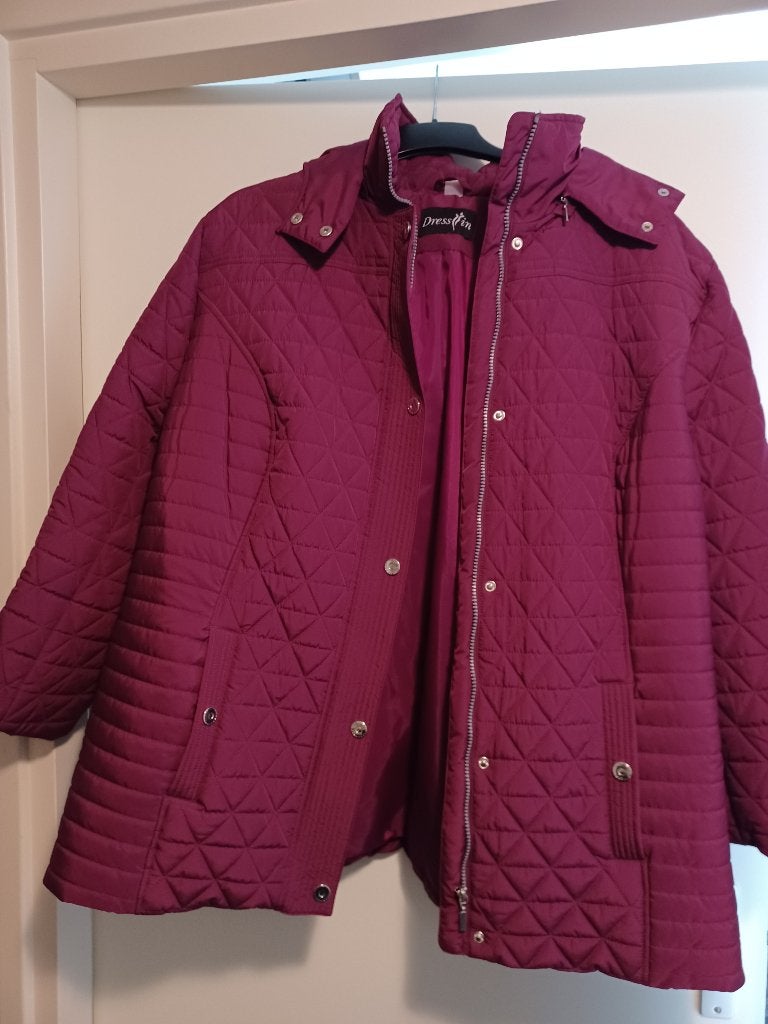 jas 1 - maat 54  (nieuw), Kleding | Dames, Grote Maten, Ophalen of Verzenden, Nieuw, Overige kleuren, Jas of Mantel
