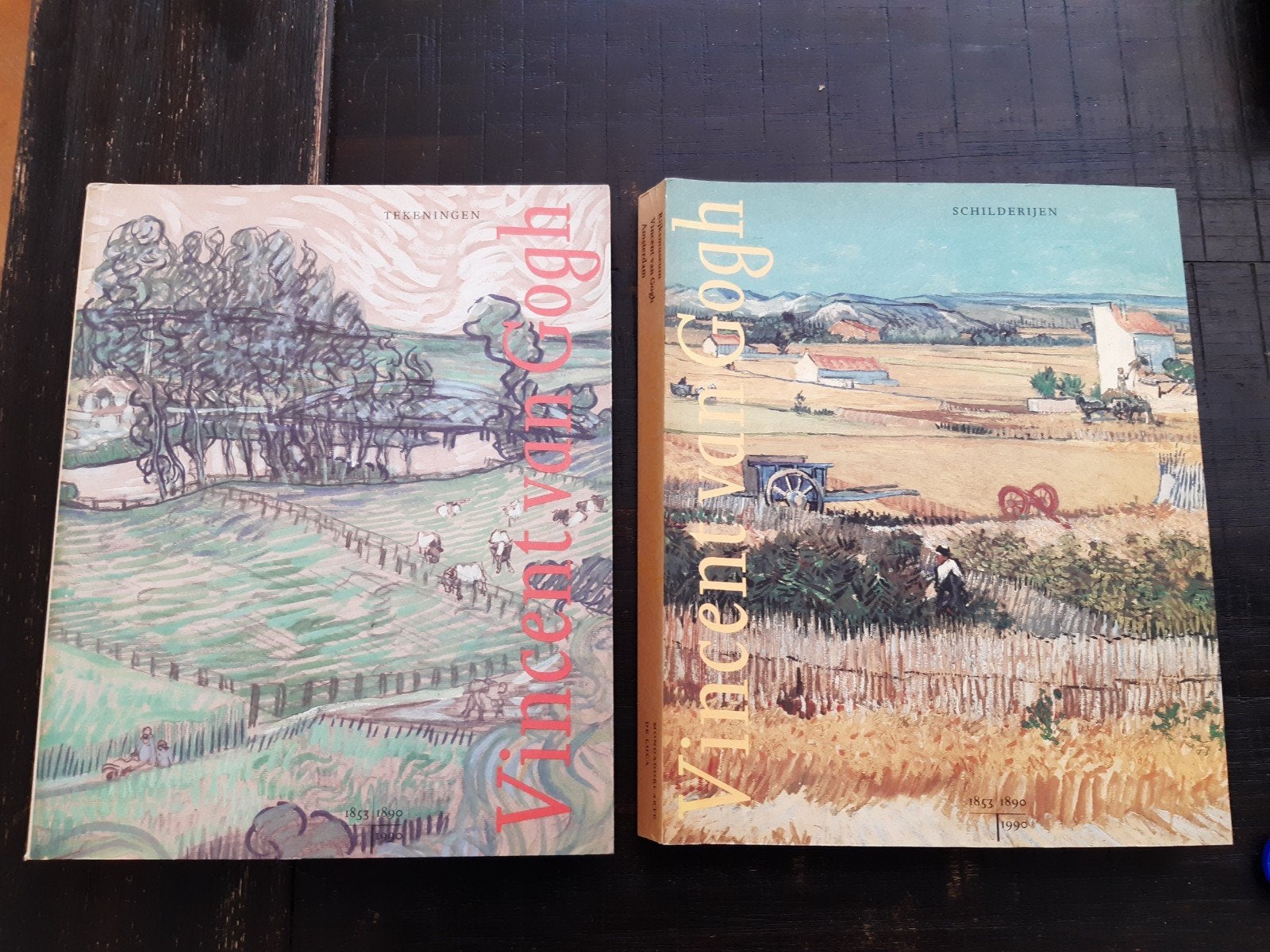 Vincent van gogh, Ophalen of Verzenden, Zo goed als nieuw, Architecten