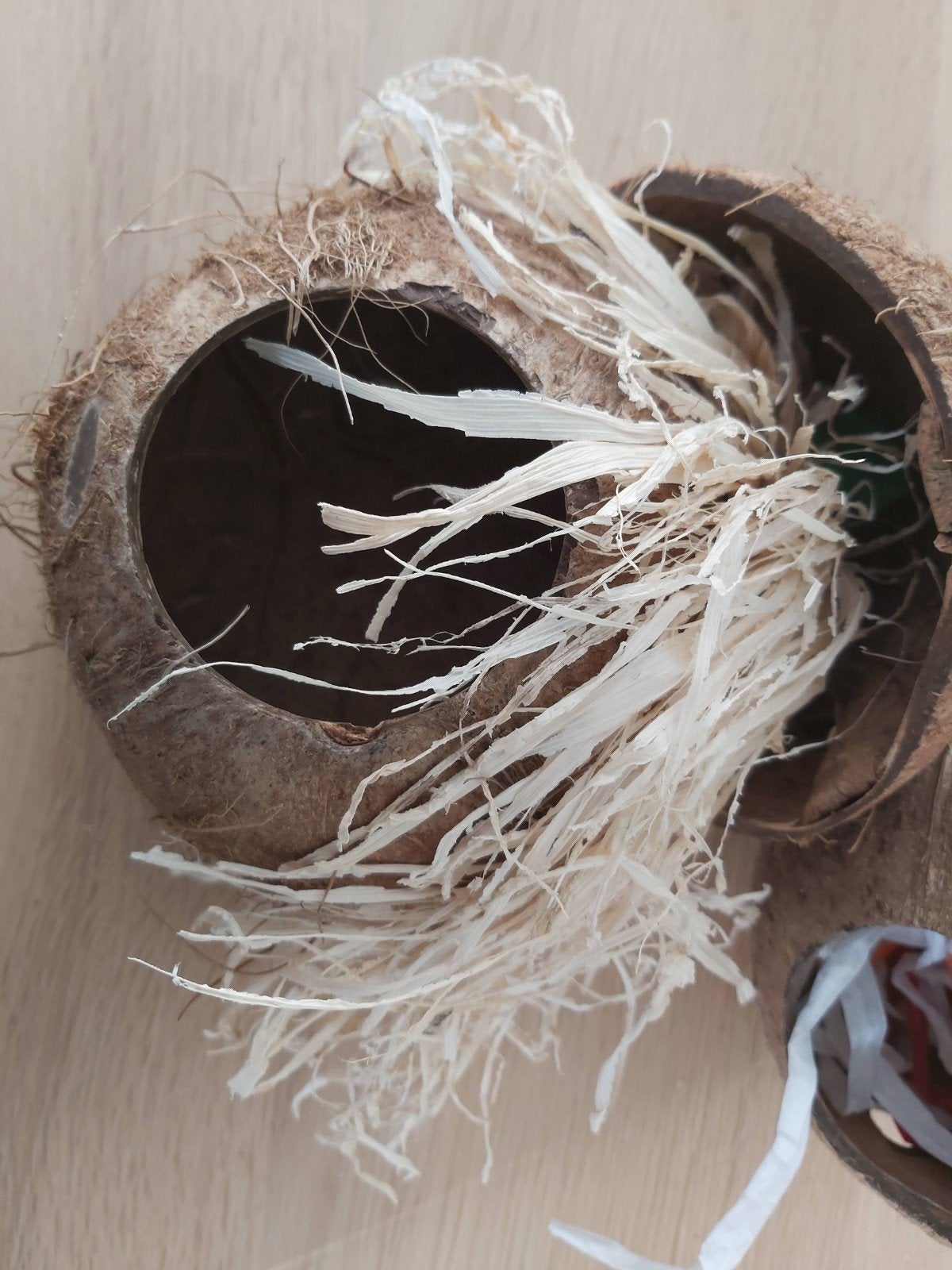 Kokosnoot vogelspeelgoed speelgoed vogel, Ophalen of Verzenden, Nieuw