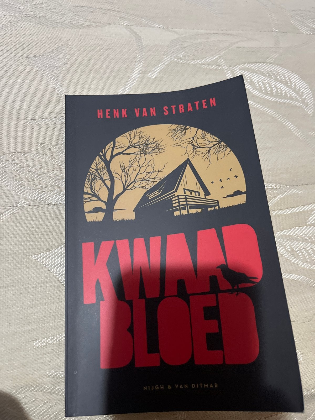 Kwaad Bloed - Henk van Straten (Zo goed als nieuw), Ophalen of Verzenden, Zo goed als nieuw, Nederland