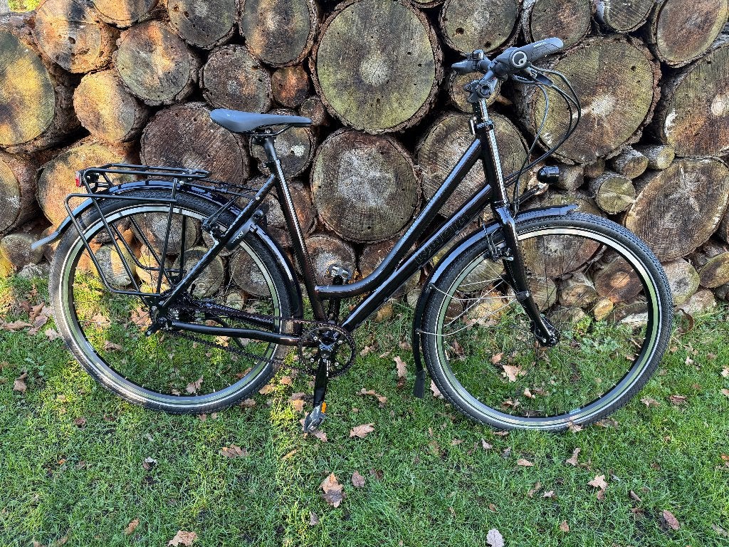 idworx Easy Rohler Comfort maat L, lage instap, Rohloff Riem, Ophalen, 28 inch, 53 tot 56 cm, 10 tot 15 versnellingen