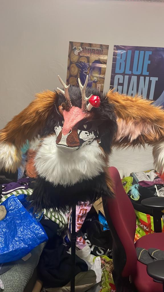 Fursuit dino, Ophalen of Verzenden, Zo goed als nieuw