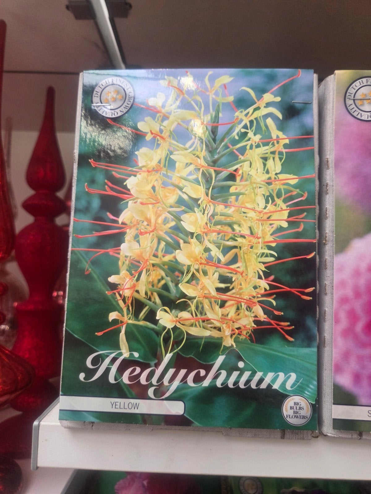 Laatste 5 zakjes Hedychium Yellow - Gele Gemberlelie, Ophalen of Verzenden, Voorjaar, Volle zon, Knol