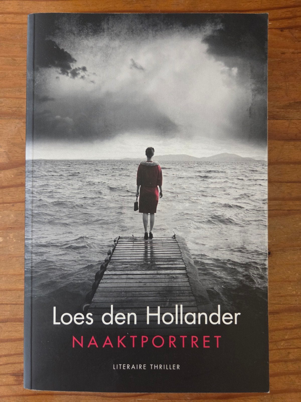 Loes den Hollander naaktportret literaire thriller, Ophalen of Verzenden, Gelezen