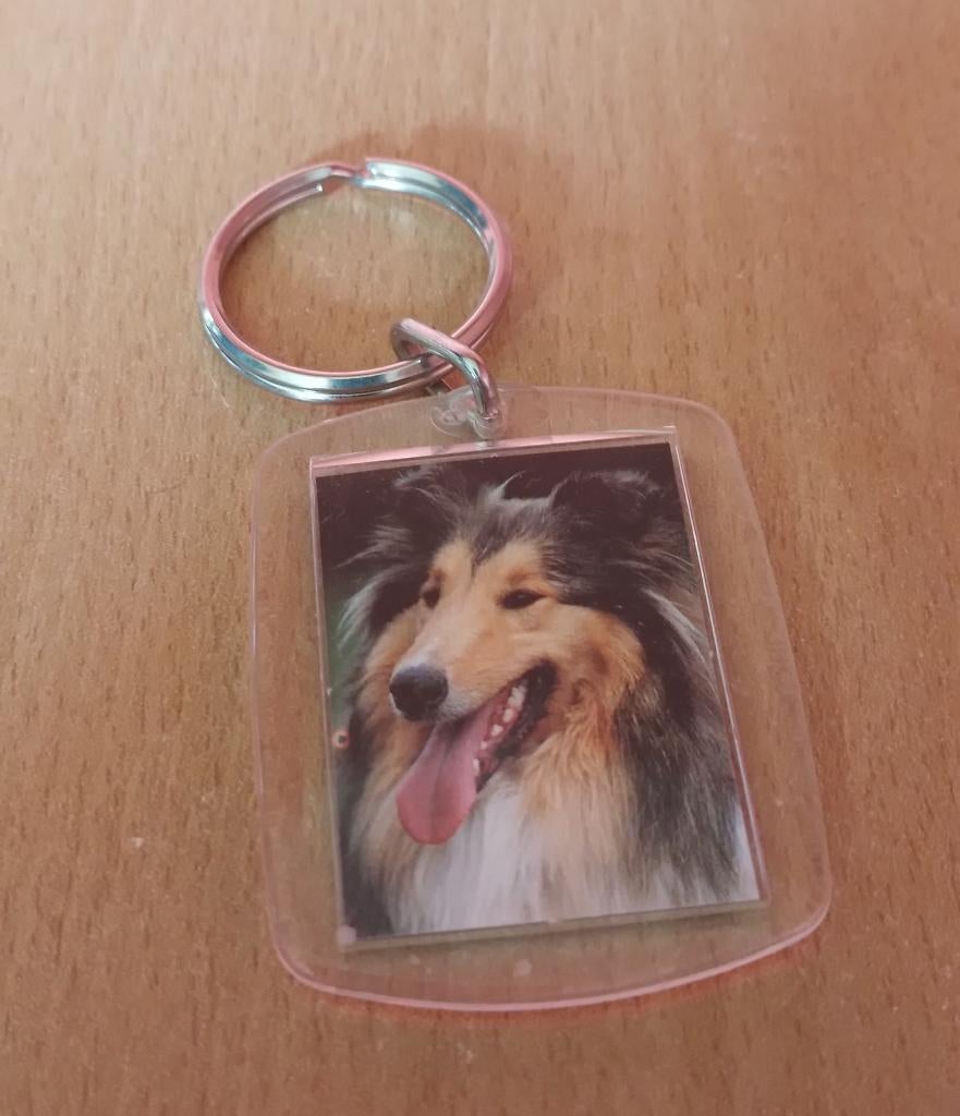 Schotse Herdershond/Rough Collie sleutelhanger, Ophalen of Verzenden, Nieuw, Dier of Natuur